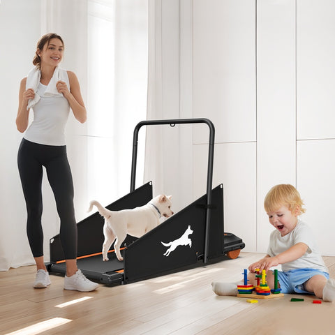 Dog Treadmill for Small & Medium Dogs