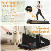 Dog Treadmill for Small & Medium Dogs