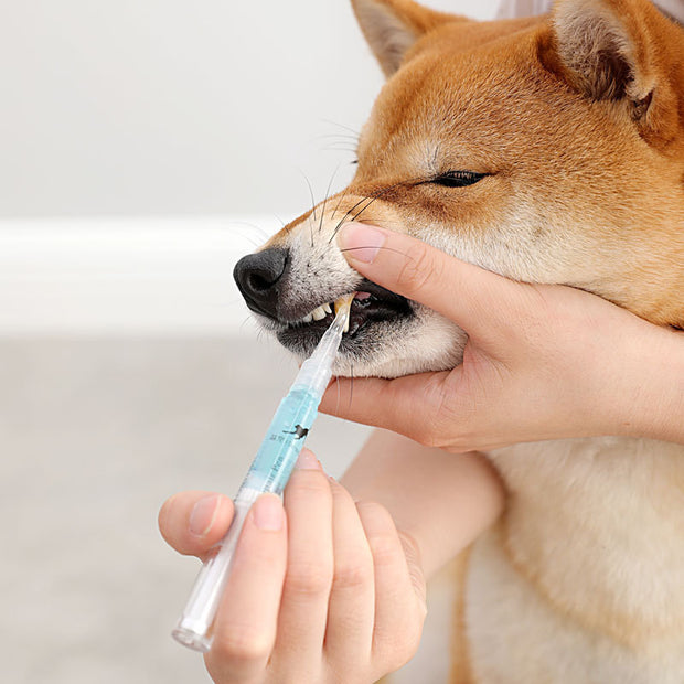 FreshFang™ Pet Teeth Cleaning & Repair Kit