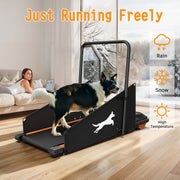 Dog Treadmill for Small & Medium Dogs