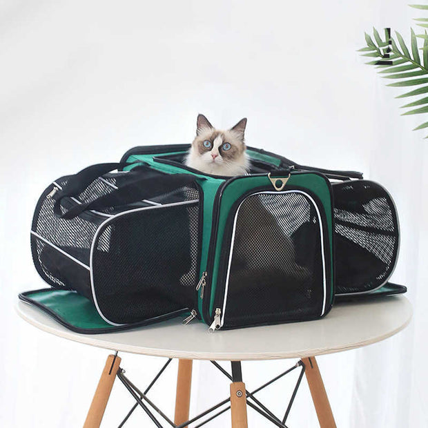 PawPod™ Space Capsule Pet Backpack