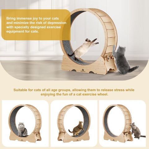 Cat Exercise Treadmill