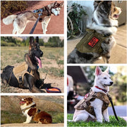 Tactical Dog Harness with Leash