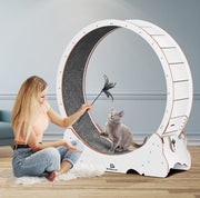 Cat Exercise Treadmill