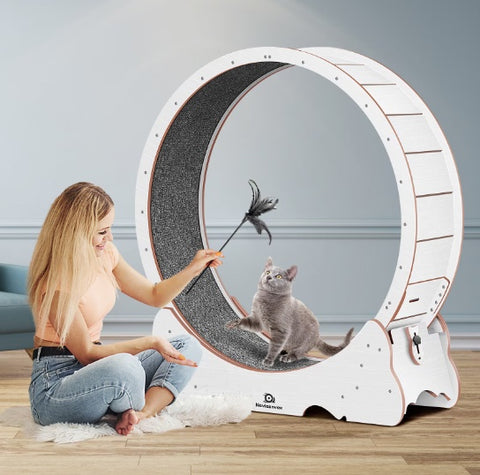 Cat Exercise Treadmill
