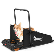 Dog Treadmill for Small & Medium Dogs