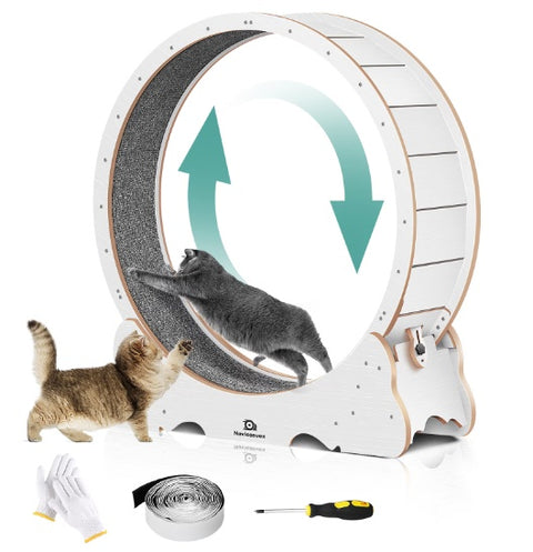 Cat Exercise Treadmill
