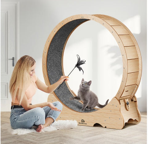 Cat Exercise Treadmill