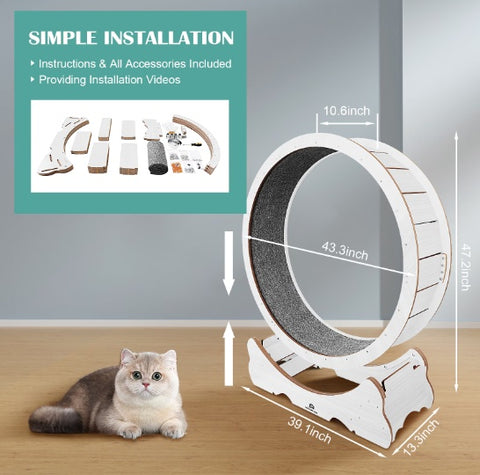 Cat Exercise Treadmill