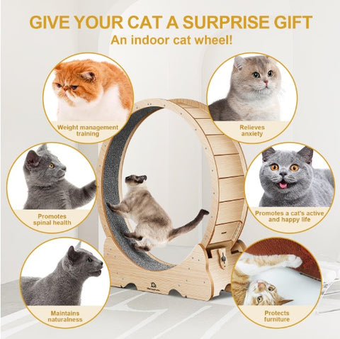 Cat Exercise Treadmill
