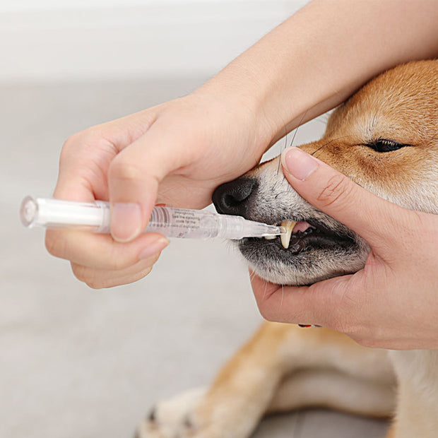 FreshFang™ Pet Teeth Cleaning & Repair Kit