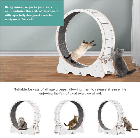 Cat Exercise Treadmill