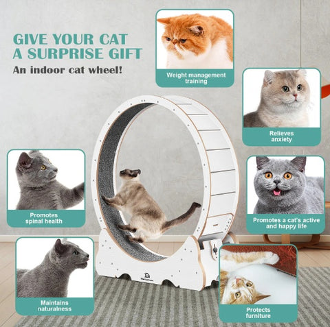 Cat Exercise Treadmill