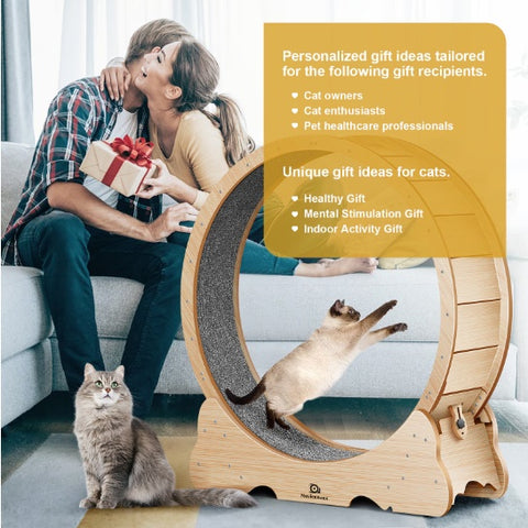 Cat Exercise Treadmill